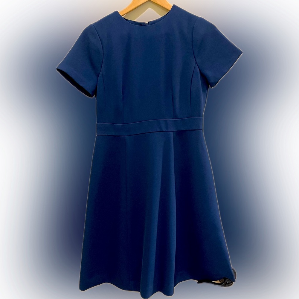 Ann Taylor - Blue Dress - Slightly Flared - Size 2 Petite